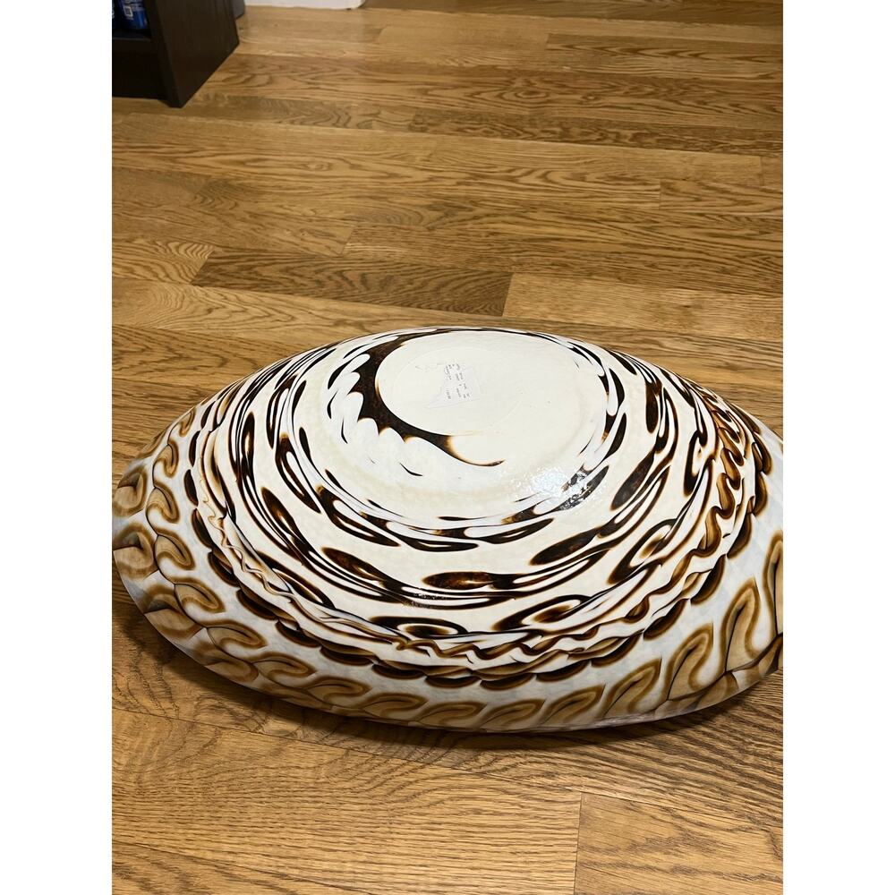 Italy Murano large glass sea shell Bowl Brown - Picture 3 of 3